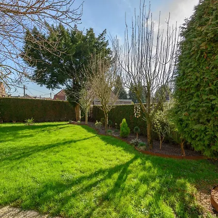 La Maison Hemoise - Terrasse Et Jardin - Premium